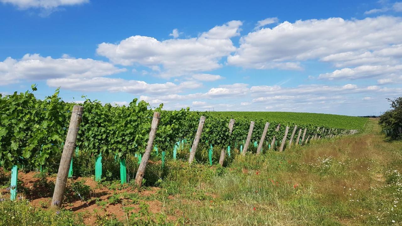 Apartmany Vinarstvi Klucov Lstibor Buitenkant foto